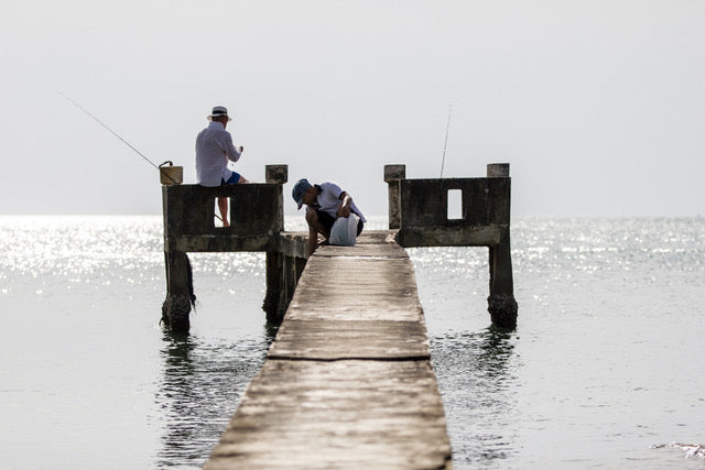 When Is Mackerel Fishing Season UK