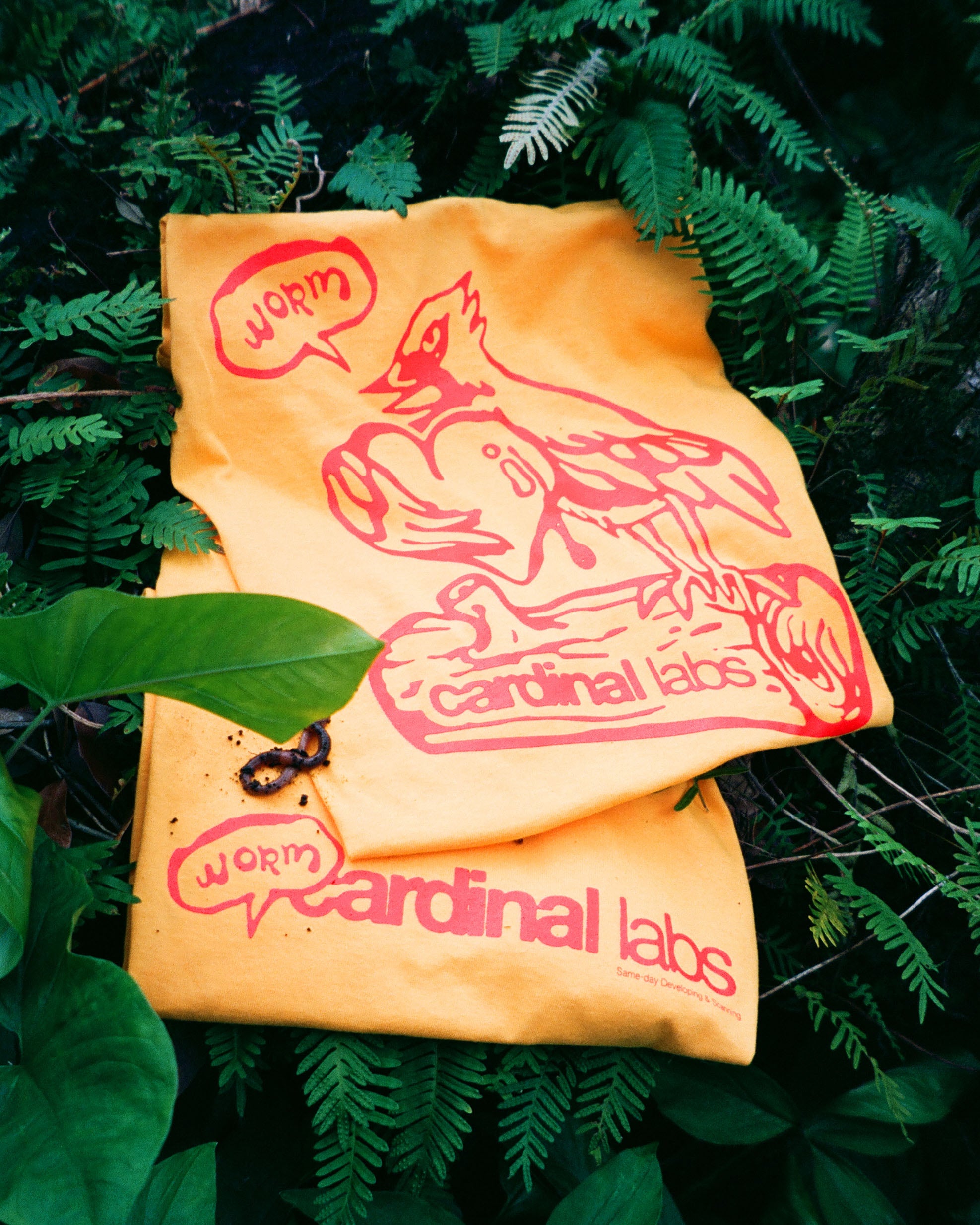 Cardinal Film Lab cover image