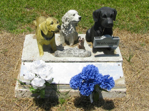 Legion Memorial Cemetery: Cemetery Dogs