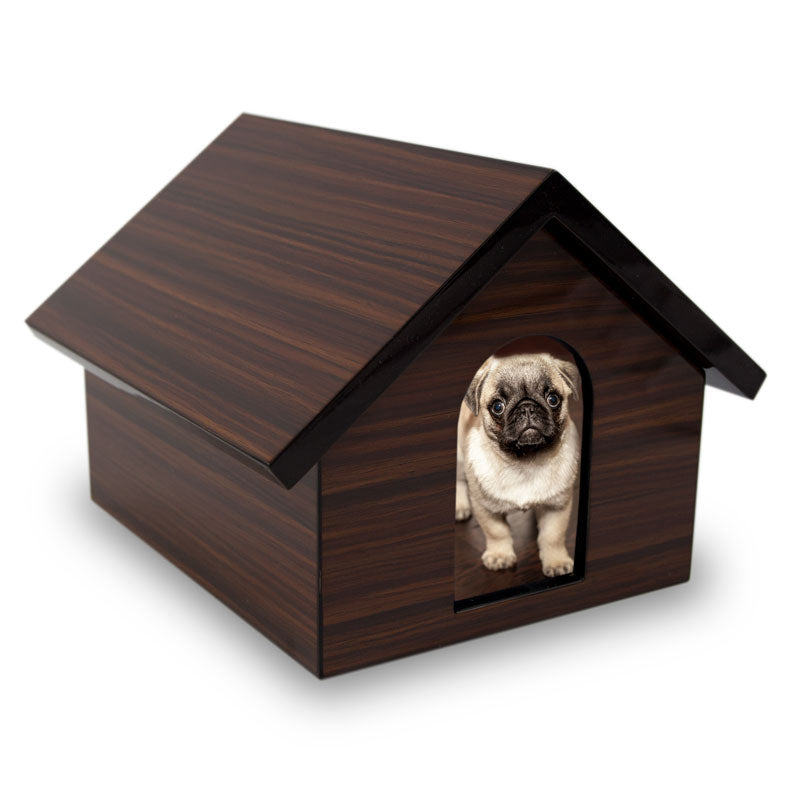 box box dog house