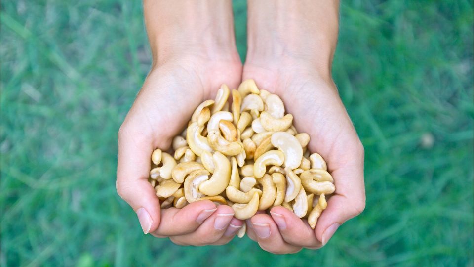 cashews