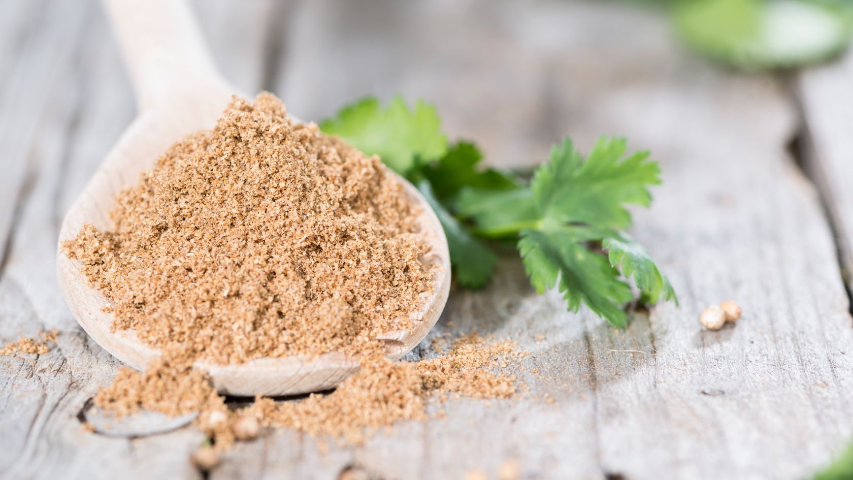 coriander seeds