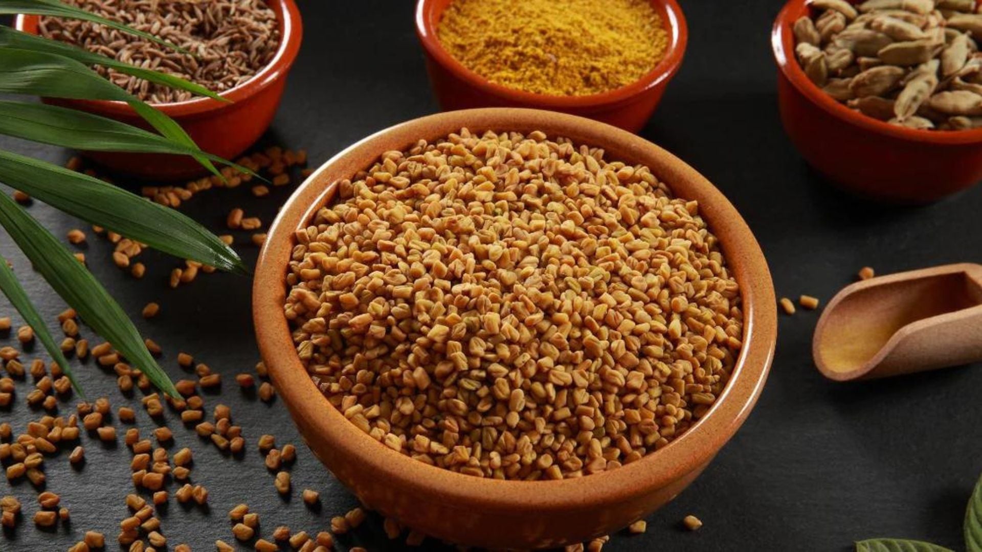 fenugreek seeds