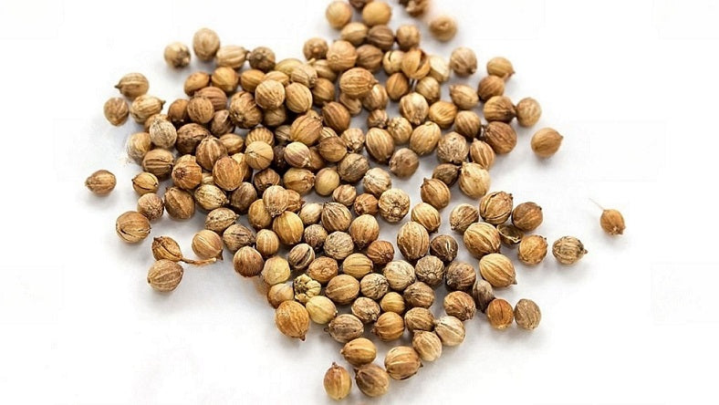 Coriander