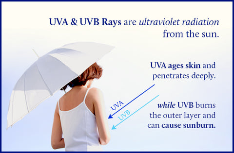 UVA & UVB Rays