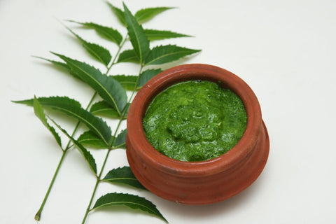 neem leaves and pot are on white table 