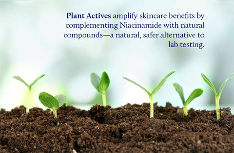 plant based niacinamide