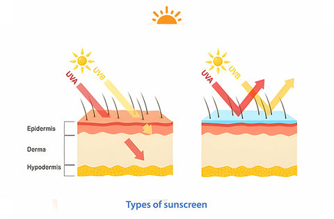 types of sunscreen