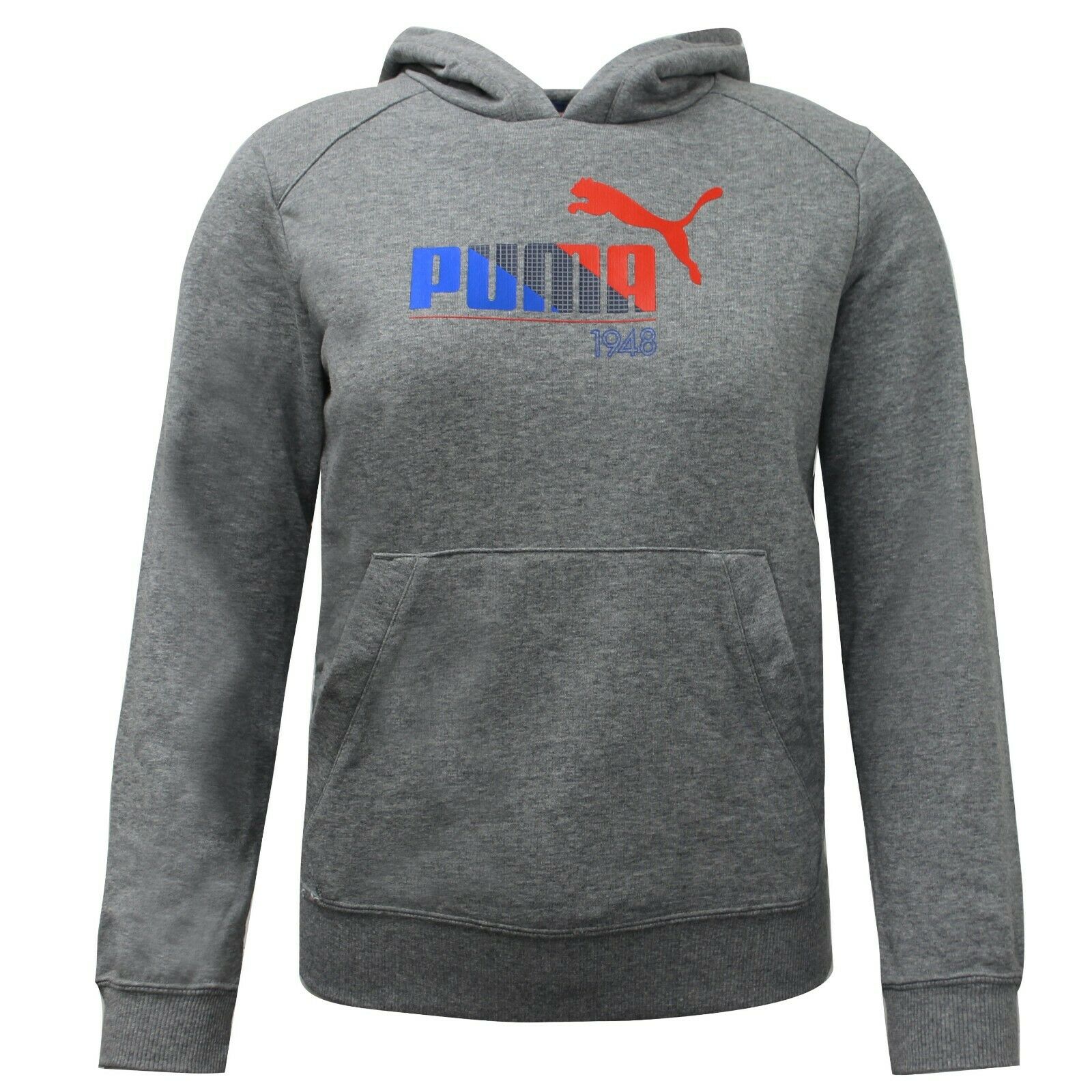Puma Boys TD Graphic Hooded Sweat Jumper Grey - Kids – Sport It First