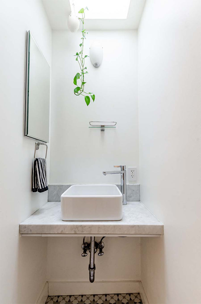 white bathroom with hanging plants and skylight