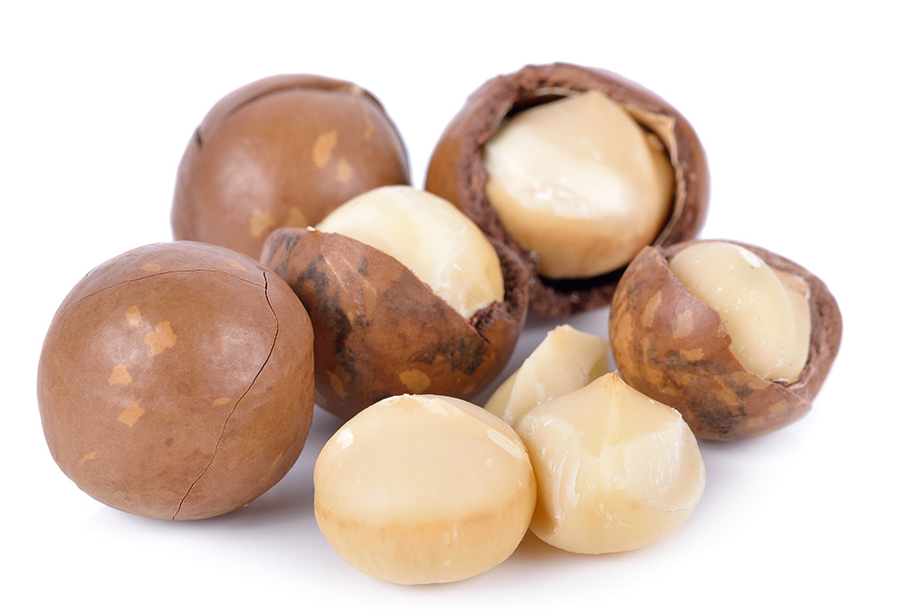 Australian native ingredients, our star the macadamia