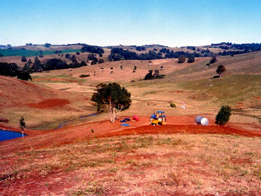 Brookfarm Story History Before Sustainability Rainforest Regeneration Australian Muesli