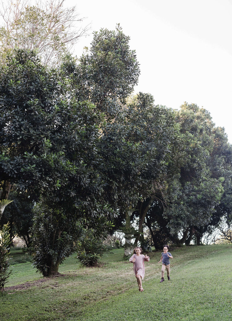 two children running between macadamia farm with macadamia trees hanging down at sunset