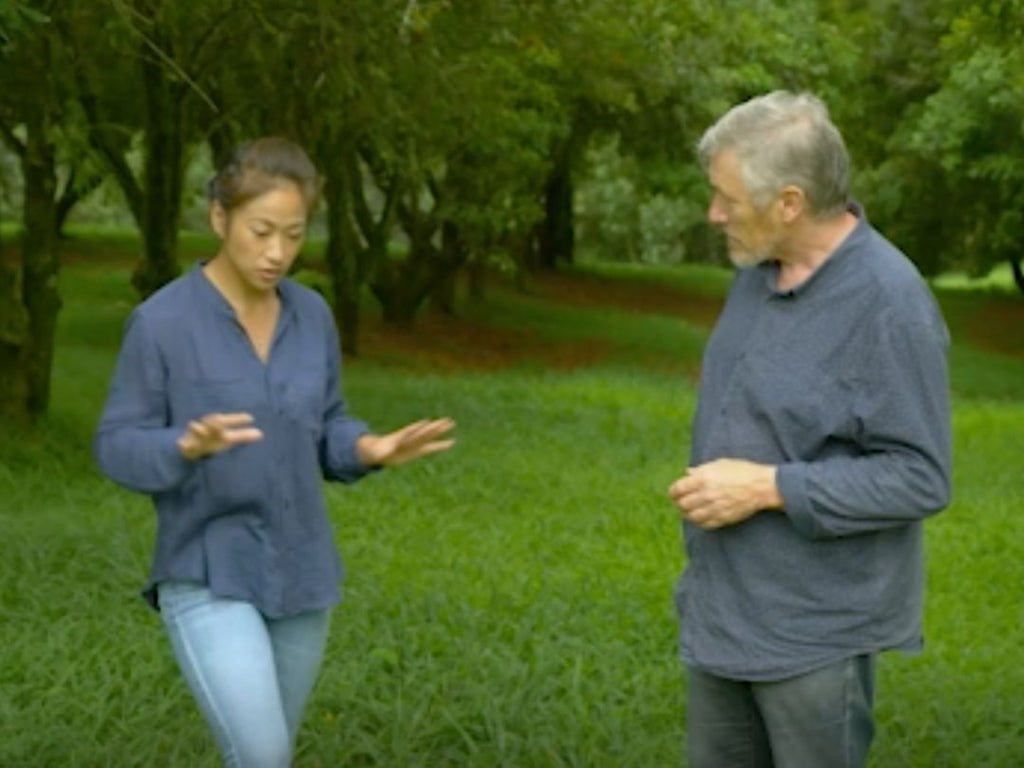 Macadamias in the Rainforest Gardening Australia ABC Brookfarm Pam and Martin Brook