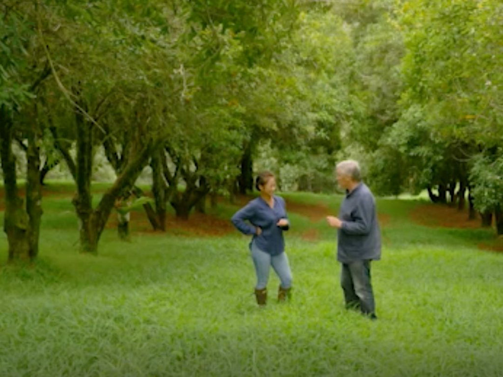 Macadamias in the Rainforest Gardening Australia ABC Brookfarm Pam and Martin Brook