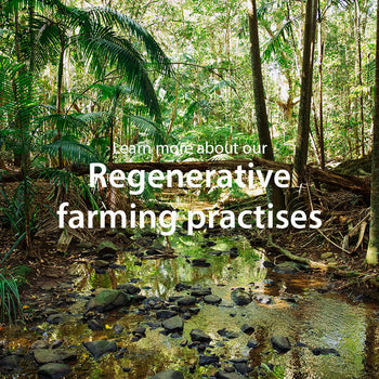 Learn more about our regenerative farming practices