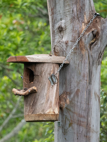 Wildbnb habitat boxes on Eucalypt tree