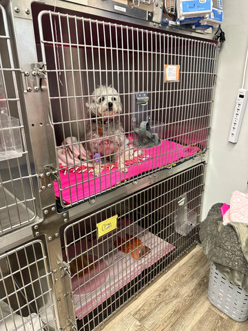 Image of a stack of Good Human LLC’s Green & Clean quick-dry PU mats, designed to help veterinary clinics reduce laundry time and expenses. cage pads