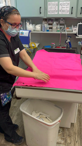 Image of Green & Clean quick-dry PU mats and recovery orthopedic cushions from Good Human LLC, designed to reduce time and expenses associated with laundry and chores in veterinary clinics.