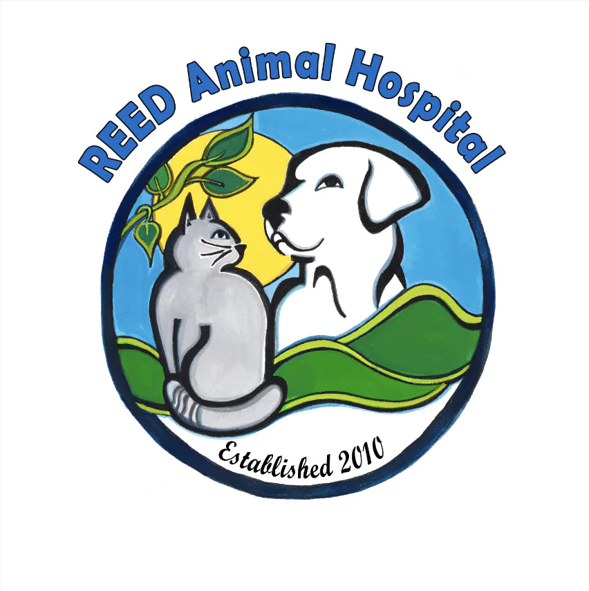 REED Animal Hospital