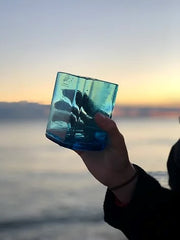 Photo of a Bombay glass set against a picture of the sea 