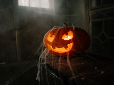 Spooky Halloween in dark light and cobwebs