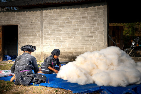 Cotton workers cleaning cotton