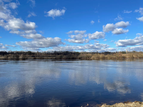 Glempings Ceriņu Pie Daugavas