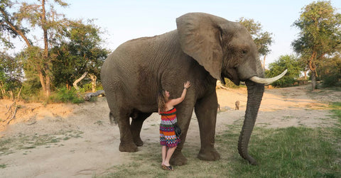 Kristin Zako with elephant