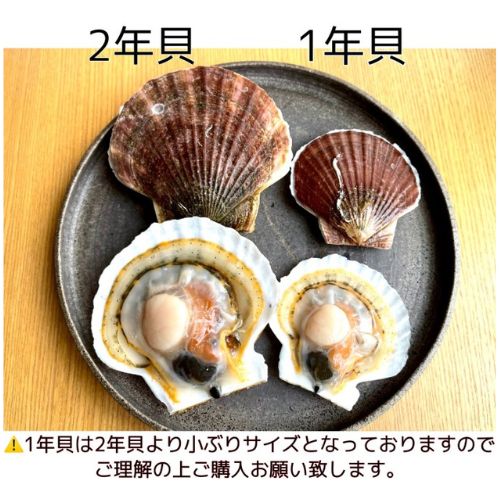 期間限定 青森産 これが本物 漁師が喰うホタテ 1 3kg 5kg ヘラ付 山六水産 エドノイチ 産地直送サイト