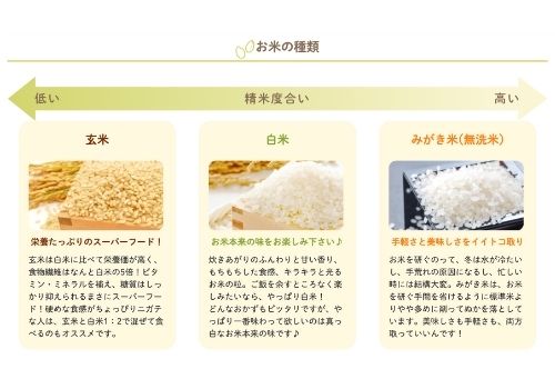 新潟産 コシヒカリせいろうこそだて米 2kg/5kg/10kg【金助農業