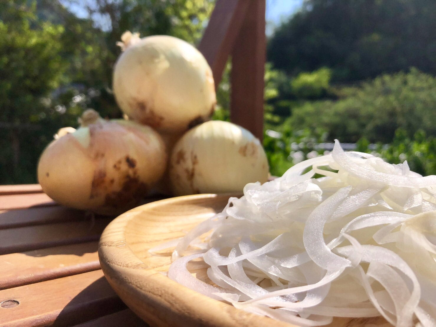 –　エドノイチ｜産地直送サイト　熊本産　栽培期間中無農薬・無化学肥料栽培「早採りサラダ玉ねぎ」（家庭用２キロor5キロ）※1日5箱限定で販売【耕人舎】