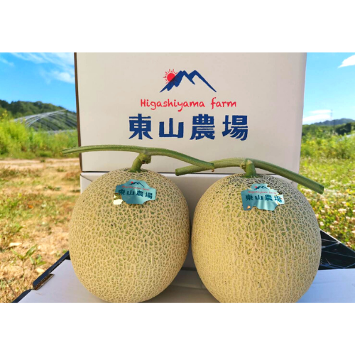 北海道夕張郡産キングメロン8キロ外品 | www.noah-digital.co.jp