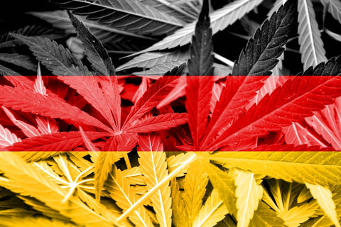 Légalisation du cannabis en Allemagne