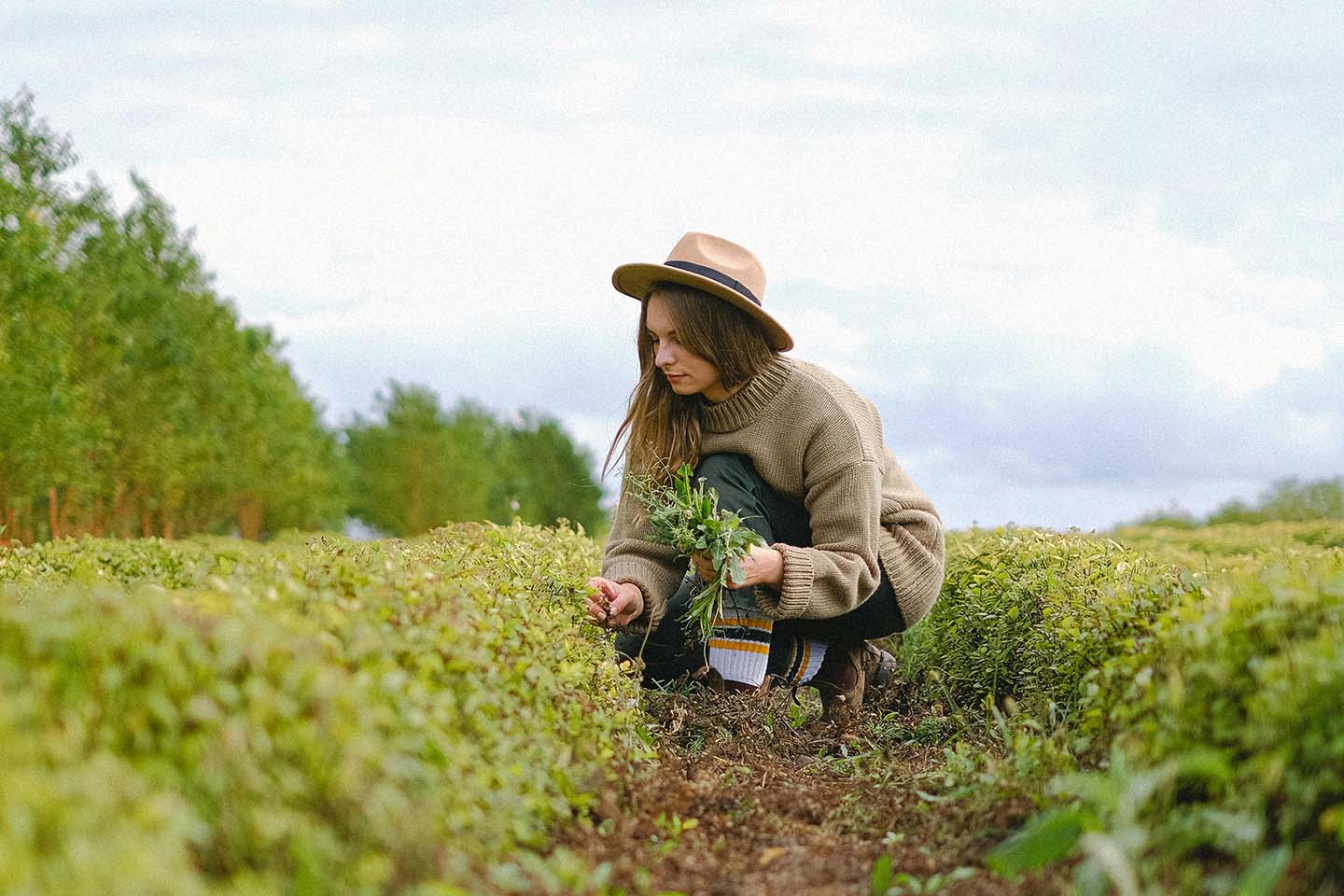 woman planting in the farm field