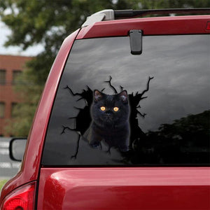 Car Sticker Cats Lover (202)