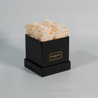 Charming champagne roses exhibited in a chic black box