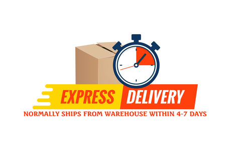 Express Delivery