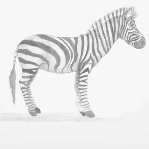 Zebra muursticker