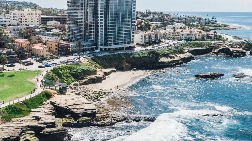 Seal Animals Play on Rock near famous La Jolla Cove north of San Diego,  California Stock Photo