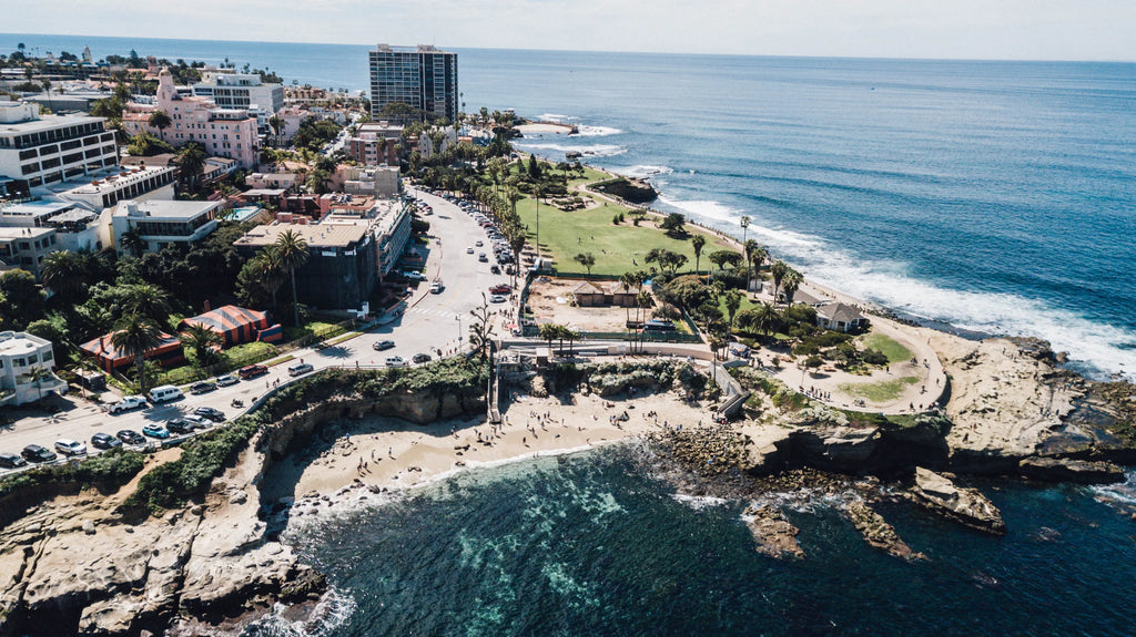 Guest commentary: What you might not know about La Jolla's sea lions and  how to watch them - La Jolla Light