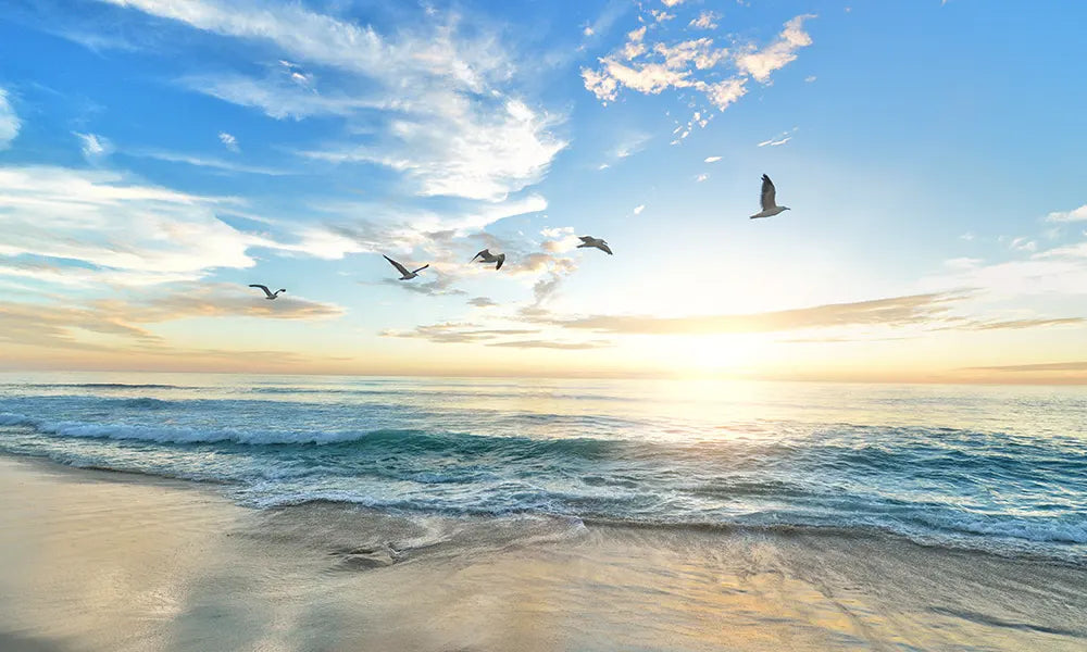 Seagulls flying above the ocean as the waves crash on the shore in California