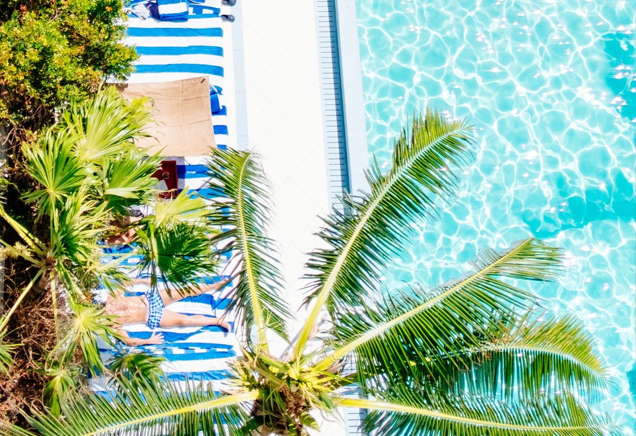 birds eye view of people tanning on striped towels with a palm tree above