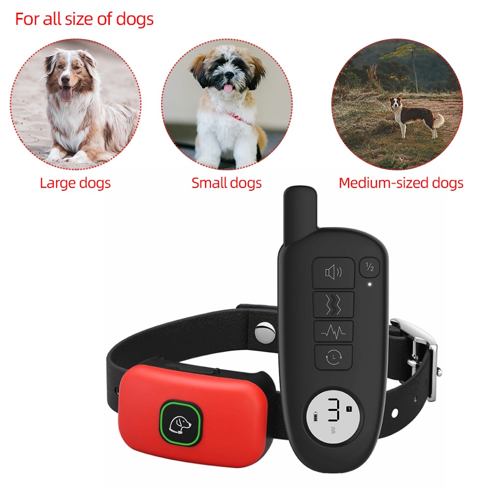 what is the best electric dog collar