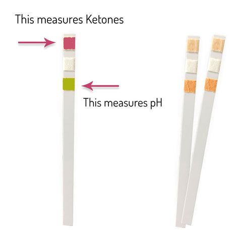 urine pH and ketone test strips