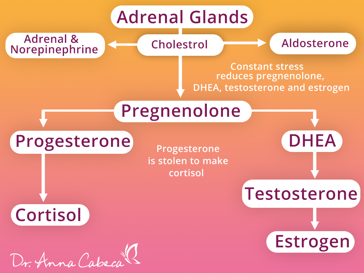 Progesteron steal - fertility and progesterone