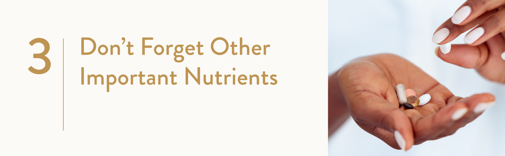 3. Don’t Forget Other Important Nutrients