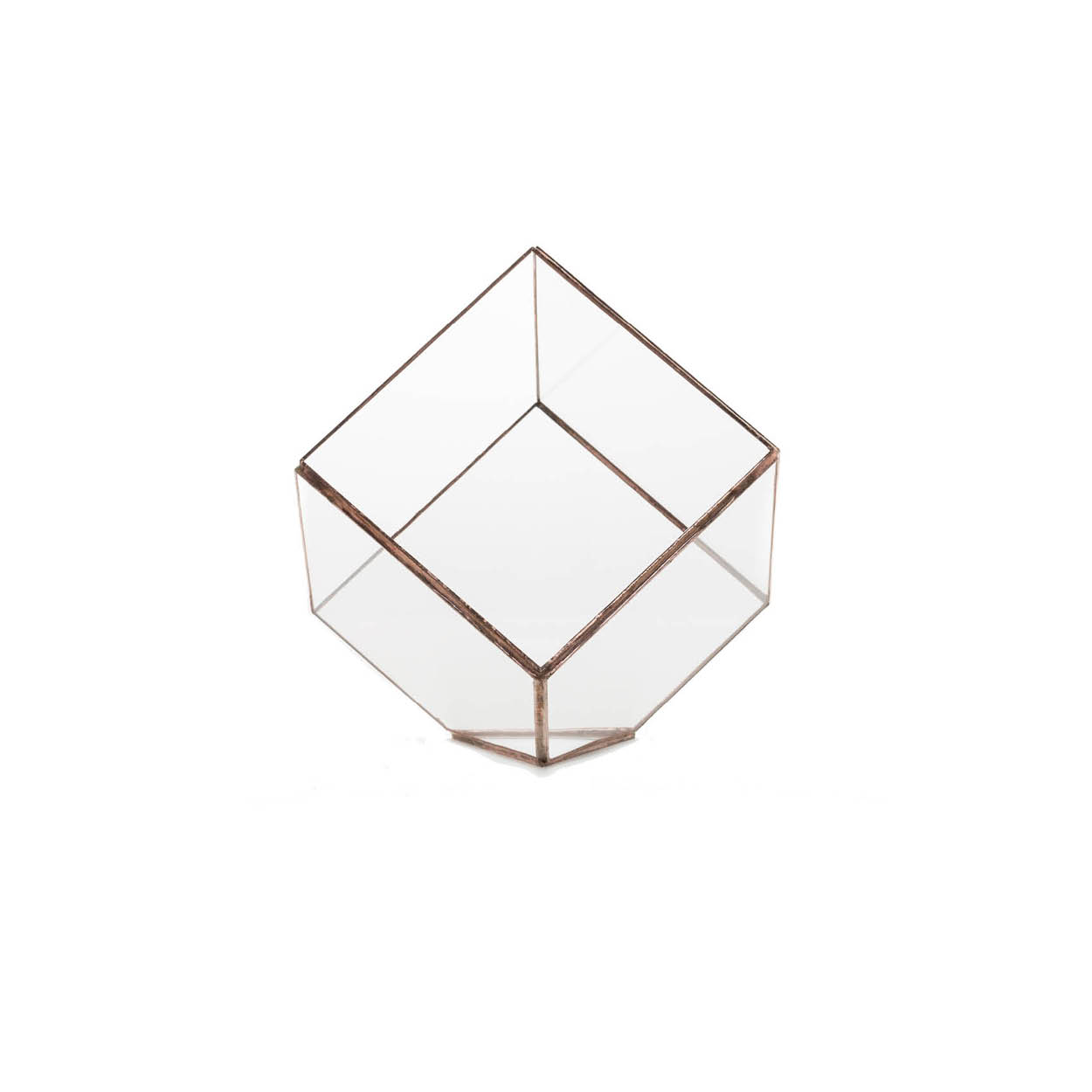 hooi Penelope Verliefd Cube - Geometrisch terrarium van glas | Hart Ruyt – HART RUYT