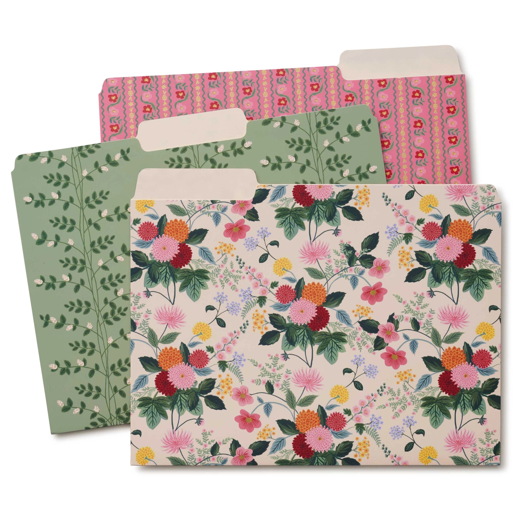 Dahlia File Folder Set 3