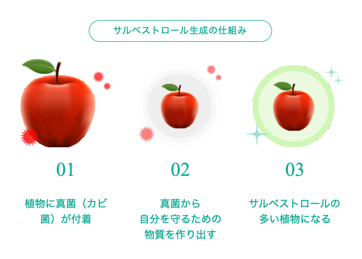 💊Salvestrol® サルベストロール PLATINUM2000